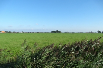 Uitzicht vanaf Minicamping SwichumerPleats in Swichum, Friesland