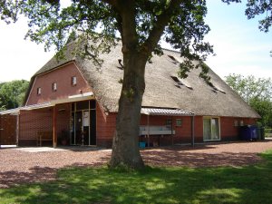 mINICAMPING hOEVE lOEVESTEIN IN dONDEREN, PROVINCIE dRENTHE