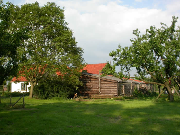 Minicamping Het Achterhuis in Ommeren, Gelderland