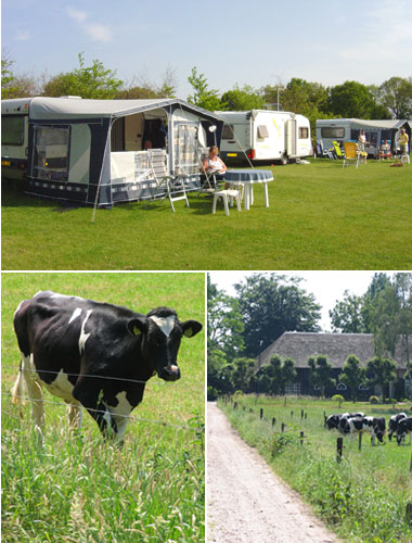 Minicamping de Kwikstaart in Noord Brabant