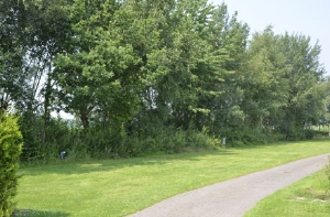 boerencamping De Goede Hoop in Eibergen, de Achterhoek, Gelderland