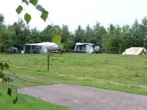 boerderijcamping De Kastanjehoeve in Zuidveld, mini campin g in Drenthe