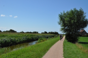 Landerijen bij Camping D'Ouwe Ploeg in Zoutelande