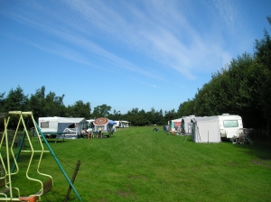 Minicamping d'Achterdiek in Ruinen - boerencamping in Drenthe