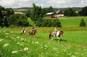 Paardrijden in Tsjechië vanaf de mooie camping 