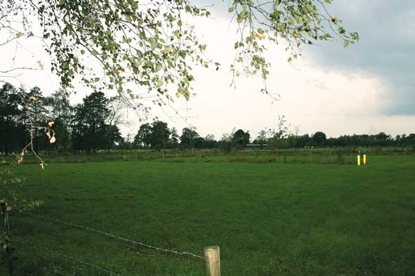 Minicamping Rest mei Romte in Boelenslaan - boerencamping Friesland