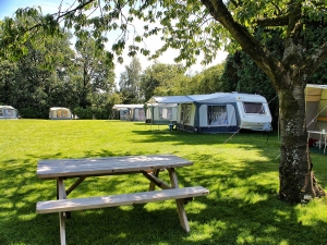 Veld op boerderijcamping Sproakstee in De Lutte