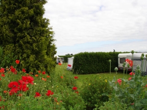 Boerderijcamping Valkenhof in Oostwoud, minicamping in West Friesland