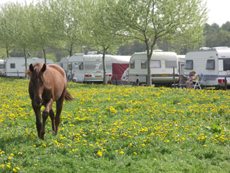 boerderijcamping Aldörrum in Aarle-Rixtel