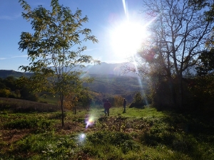 uitzicht minicamping Villa Salita in Italie. boerdencamping 