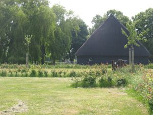 boerencamping hof van Autriche in Zeeland