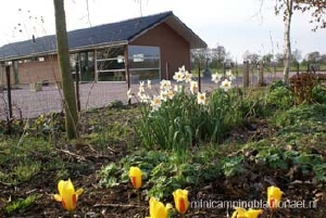 minicamping Blaufortlaet in Augustinusga, boerencamping in Friesland