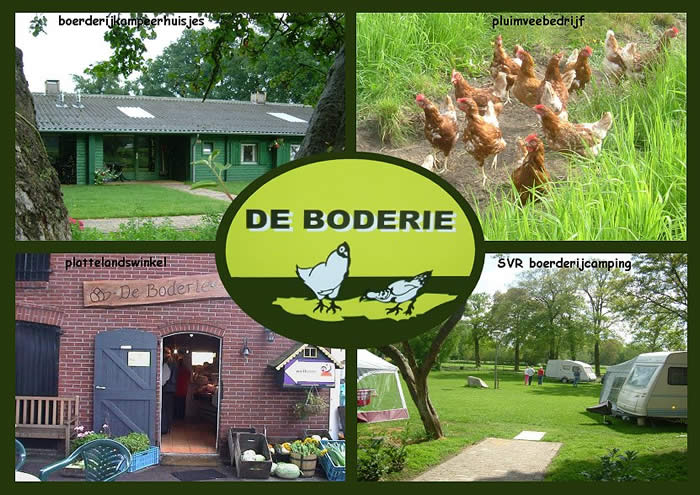 minicamping De Boderie in Albergen, Overijssel, Twente