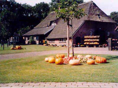 Boerderij camping De Bosrand in Ermelo, Gelderland