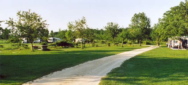 Boerderijcamping de Ganzenhof 