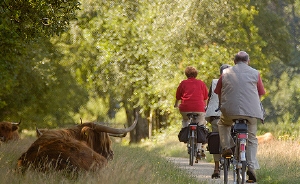 Boerderijcamping Twente