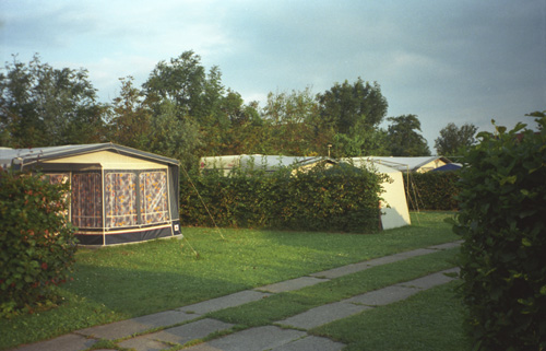 boerencamping westland - minicamping in Zeeland