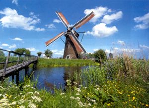 boerencamping Zuid-Holland