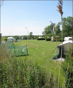 Mini camping Kamperen bij de boerin op Texel, noord-Holland