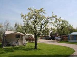 Minicamping 't Boomgaardje in Wijk bij Duurstede, mini camping in Utrecht