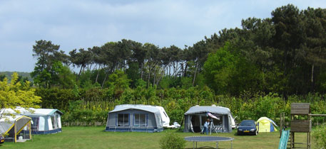 Minicamping De Schijvenaer in Schijf, een boerencamping in de provincie Noord-Brabant