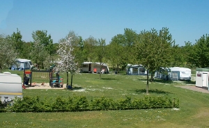 Veld boerderijcamping Pepeniushof 