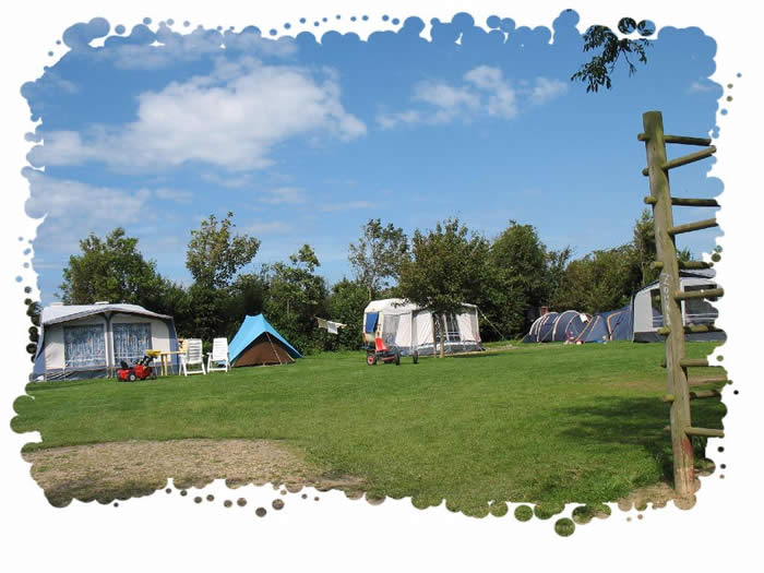 achterveld boerencamping 't Zeeuws Knoopje op Walcheren