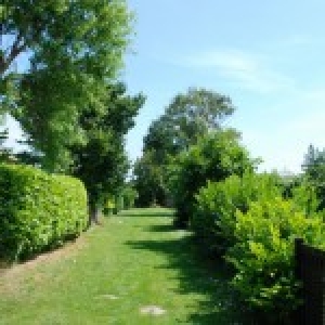 Boerderijcamping Akkerleven in Zonnenmaire, minicamping Zeeland