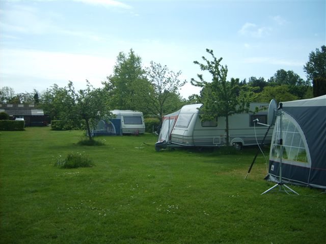 boerderijcamping Wilgenhoek in Rockanje