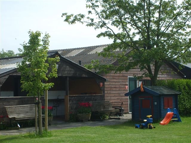 minicamping de wilgenhoek in Rockanje, boerencamping in Zuid-Holland