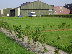 boerencamping Spoorzicht in Julianadorp, Noord-Holland