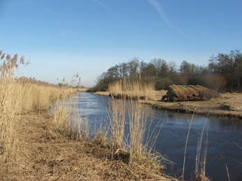 Boerencamping De Hendrikahoeve in Blokzijl, Overijssel