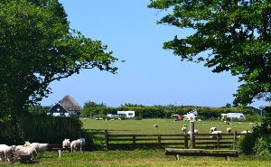 Minicamping De Hal in Den Burg op Texel