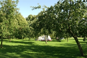 Kleine camping De Gaard (Doors Logies) in Lelystad