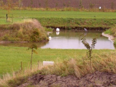 De stal op boerderij camping de Boerderij