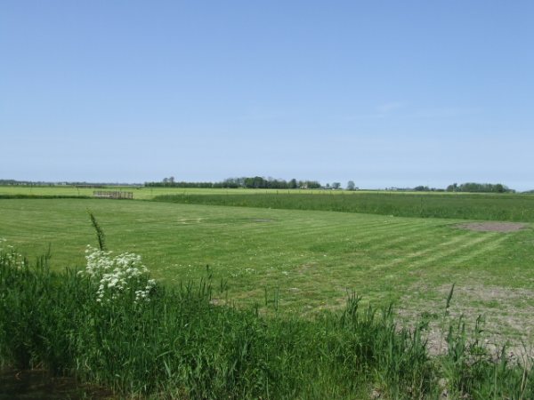 Minicamping de Terp in Hiaure, boerencamping in de provincie Friesland