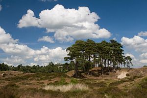 Boerencamping gelderland