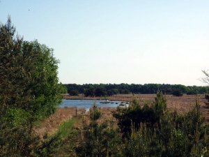 minicamping en boerderijcamping De Heibloem in Baarschot, Noord-Brabant