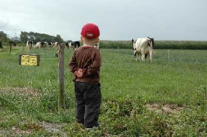 boerencamping De Kluithoek in Meliskerke