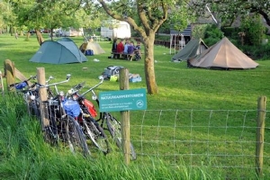 Minicamping De Oude Boomgaard in Snelrewaard, Utrecht