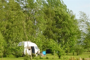 Boerderijcamping De peelhof in Erica, drenthe