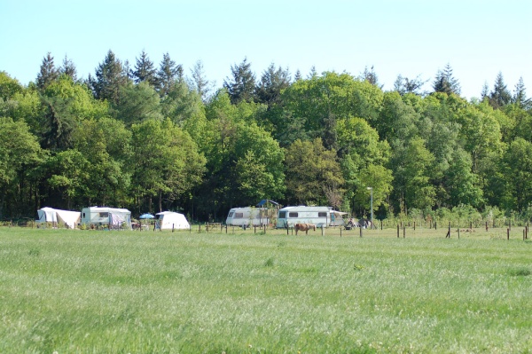 minicamping 't Smalbroekerhout in Beilen