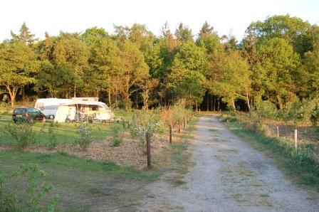 boerencamping 't Smalbroekerhout in Drenthe