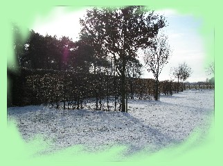 Boerencamping De Stippelberg in De Mortel, Noord Brabant