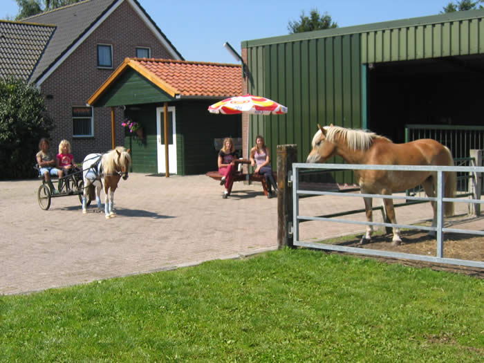 boerencamping Musselkanaal