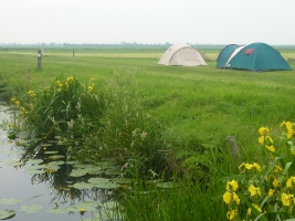 Tentenveld boerderijcamping Vierhuis in Rohel, Friesland