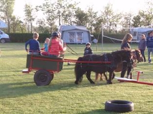 Kinderen en paarden op minicamping Zonnehoek in Biggekerke